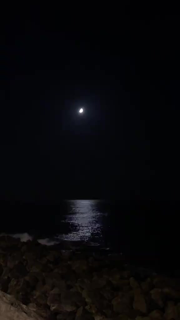 @الحوراء