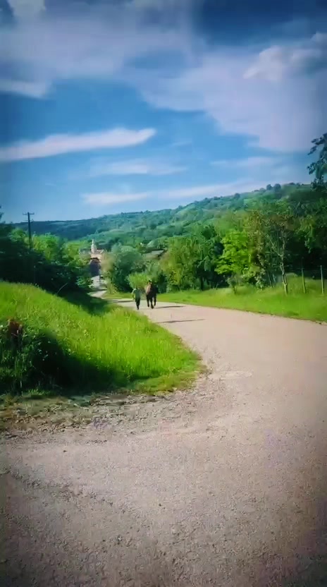 @Radu Popa
