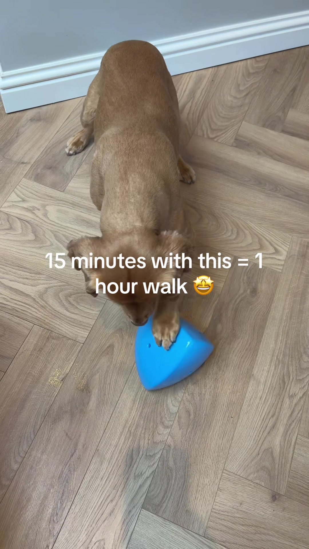 @Claws & Paws Parcels