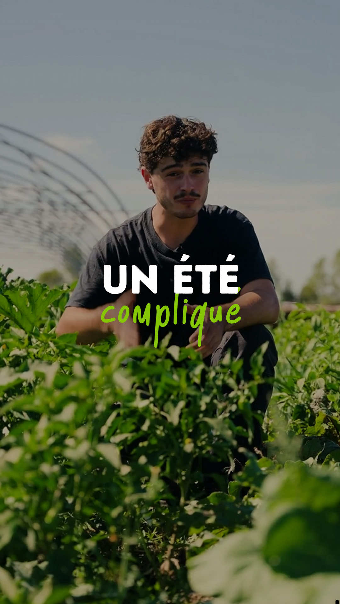 @Goran Le Permaculteur