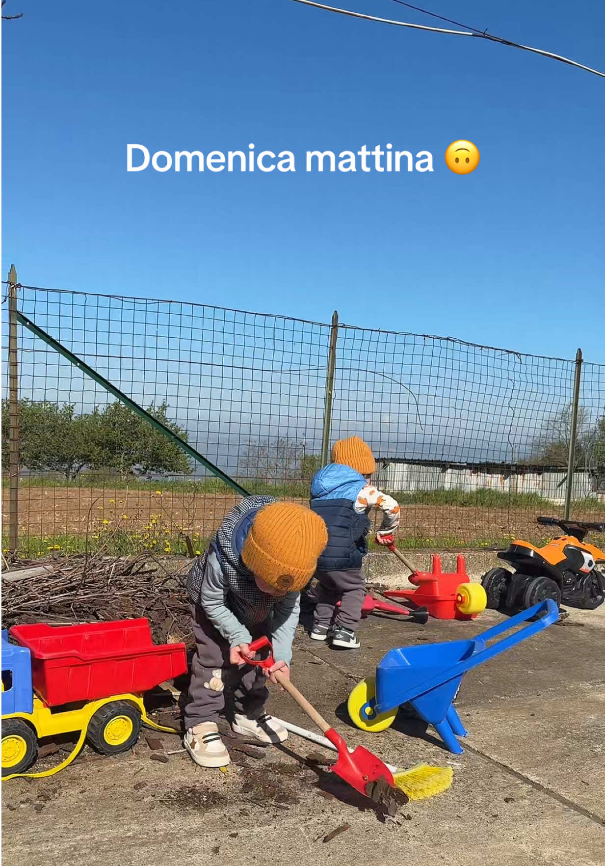 @Mangiardi🇮🇹👶🏻👶🏻🇧🇷