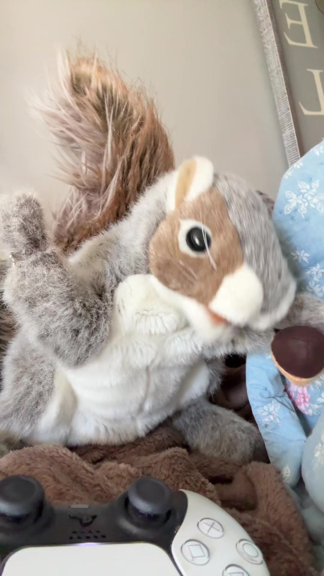 @Apple squirrel