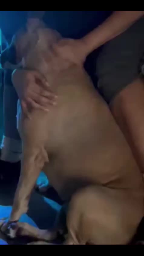 @Nikkiblu82