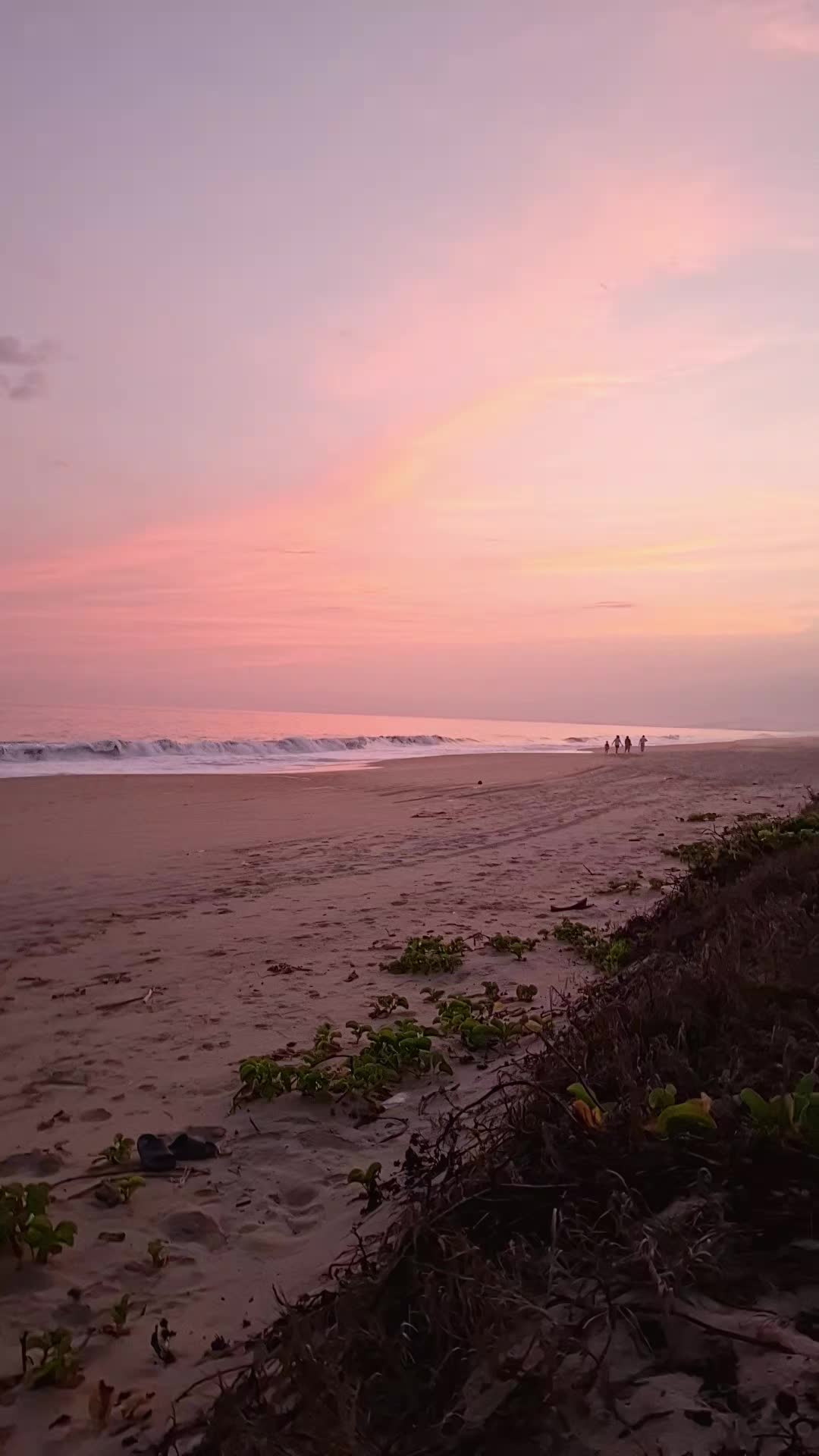 @Juan Cruz465080