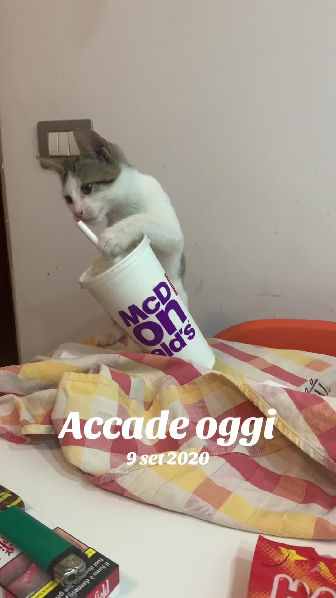 @Gra_Lagra_👑