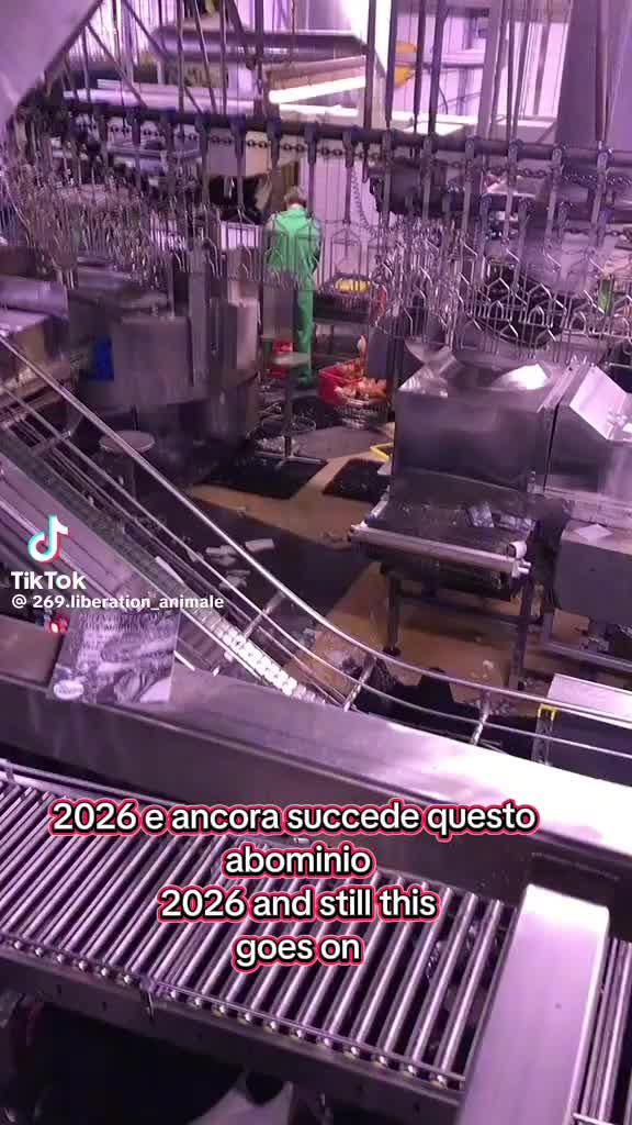 @emiddio fattore 5
