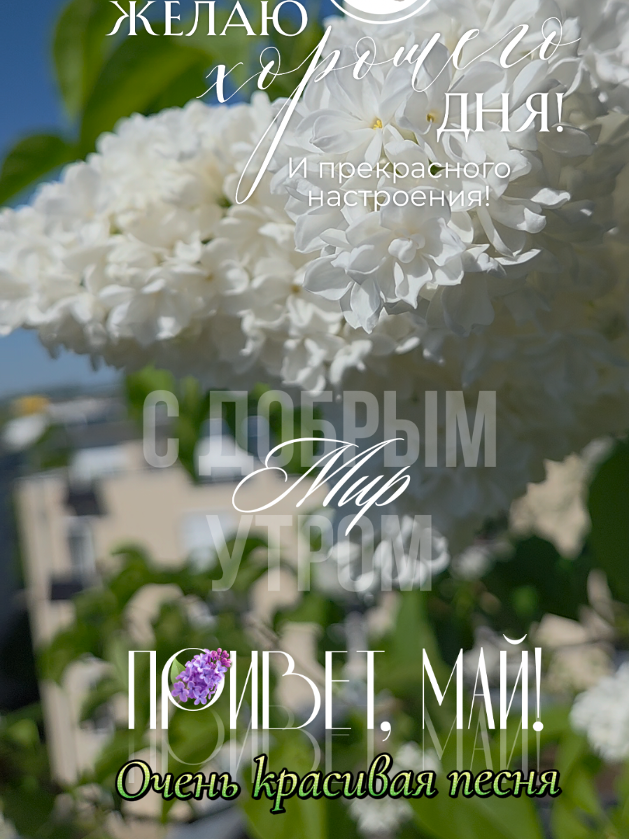 @✨Елена✨