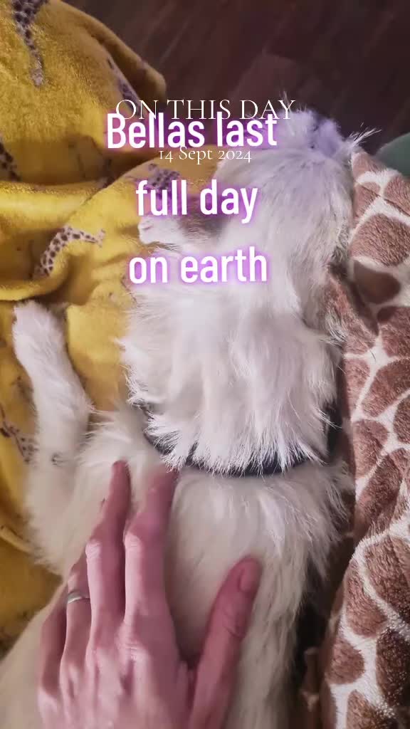 @claire🌈BellaBertErnie💙T&D