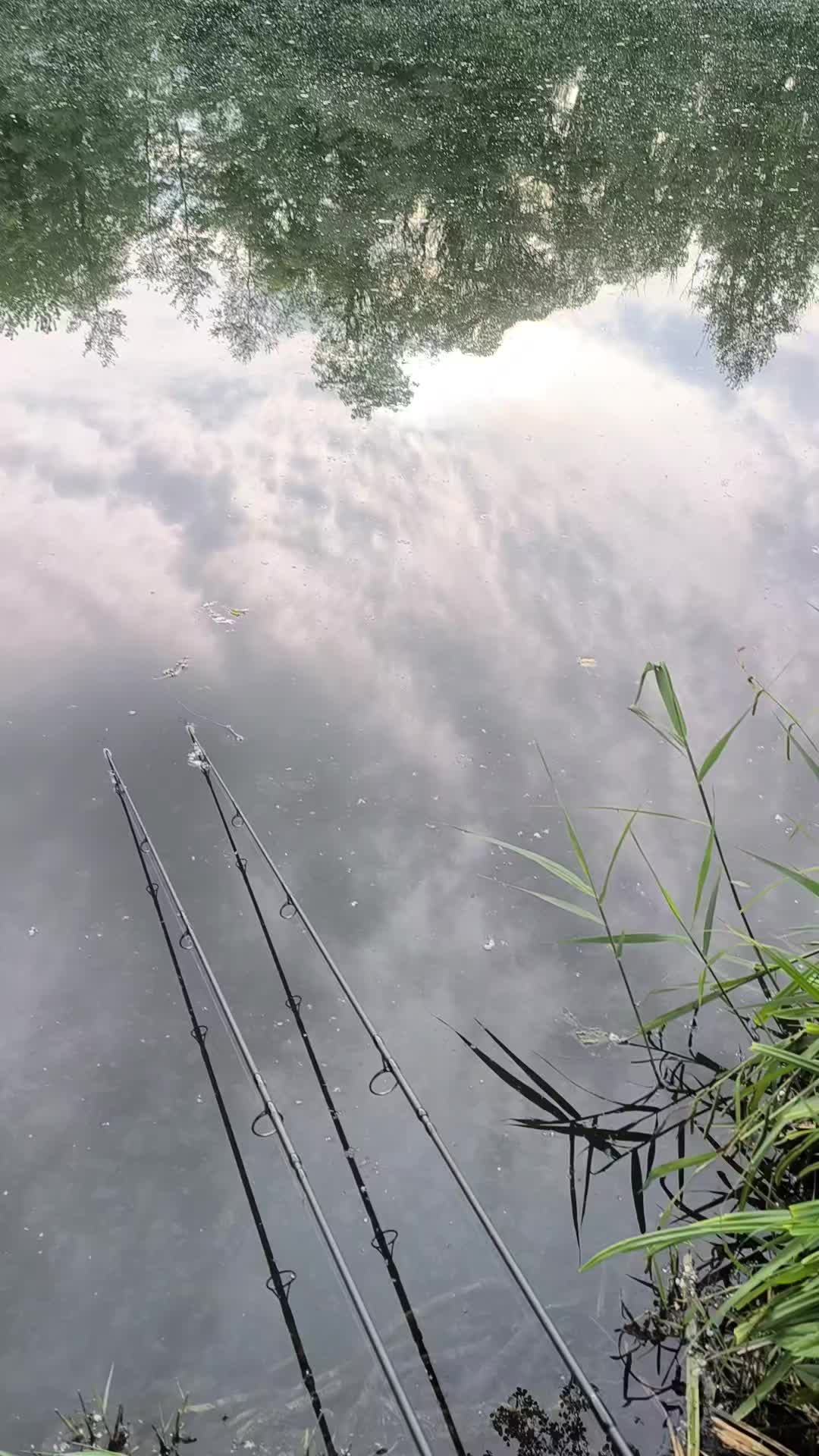 @Jocarpfishing
