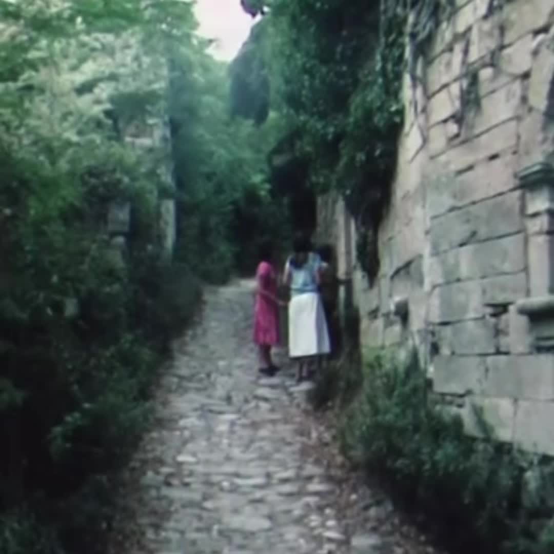 @LXXXIV 🫒