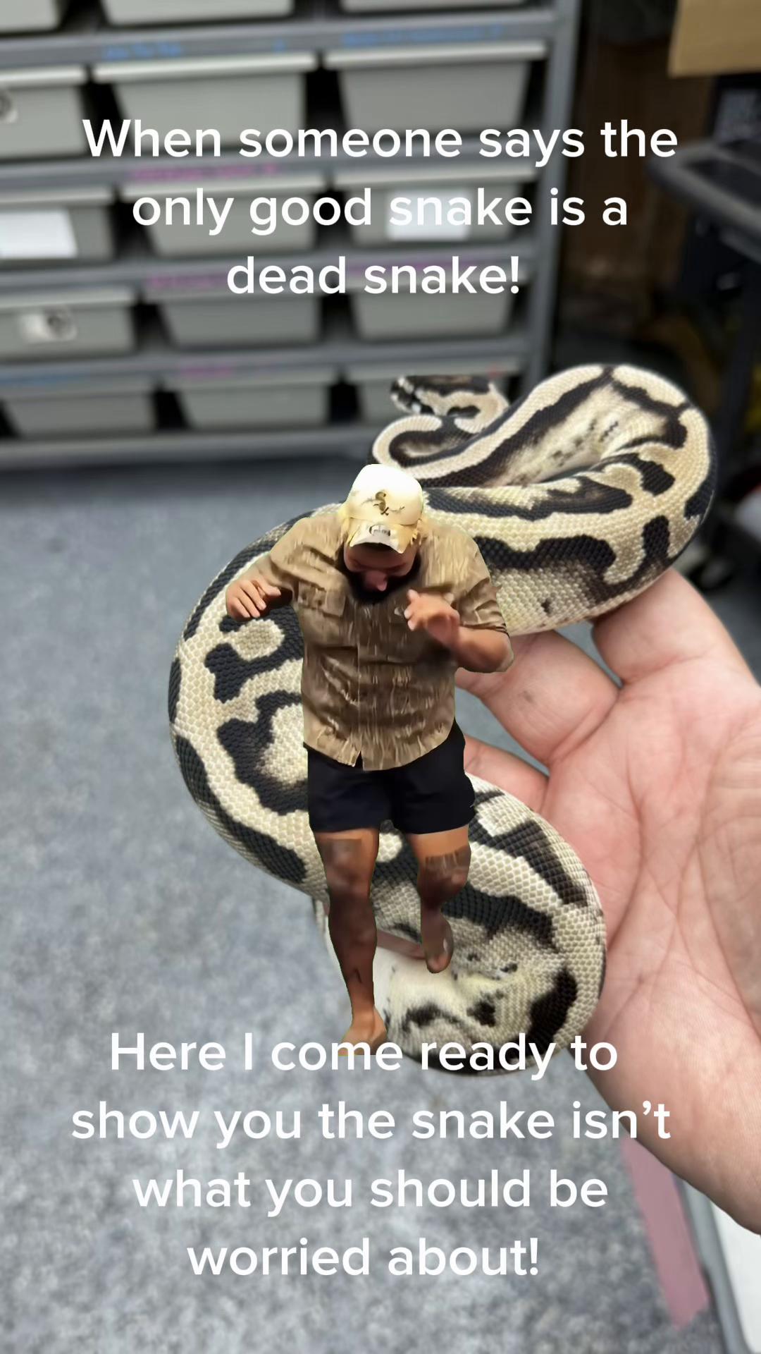 @XtremeSerpentines