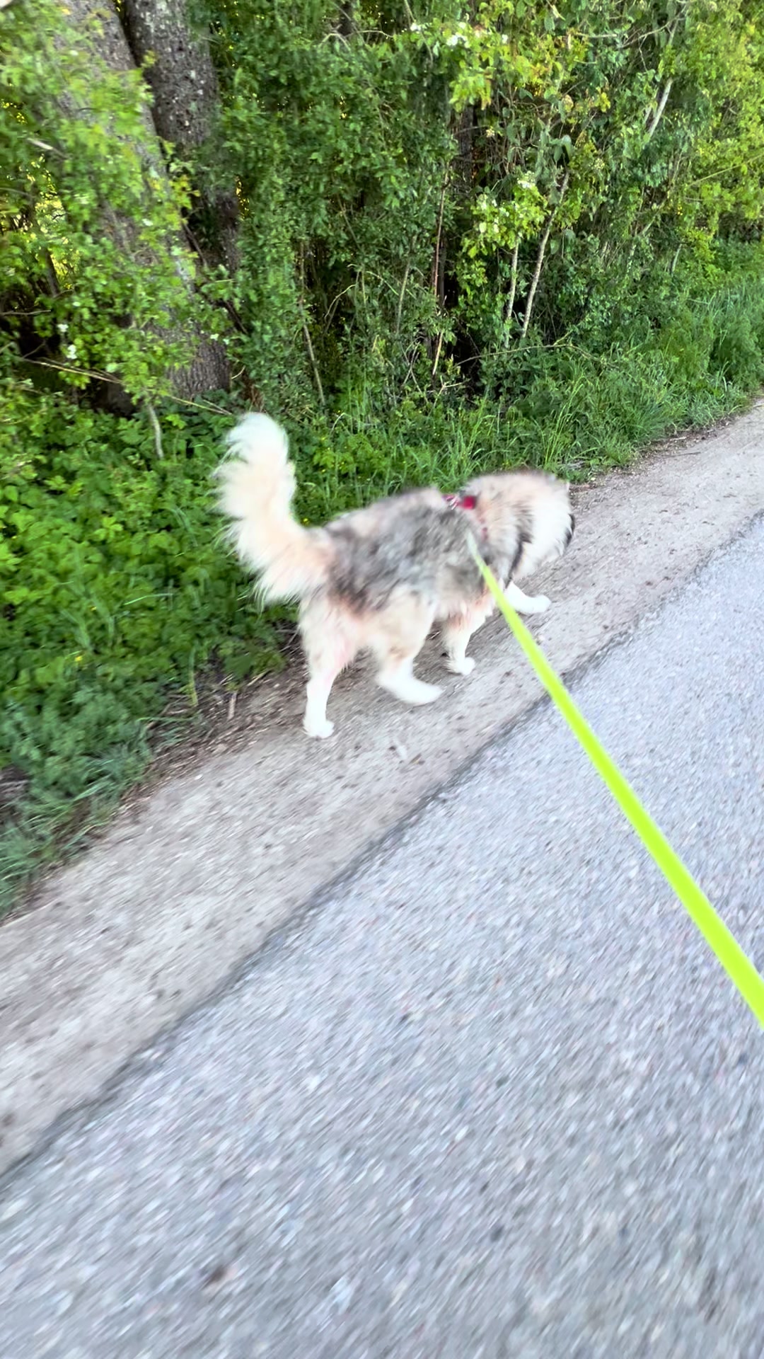 @Das kleine Krümelmonster 👻