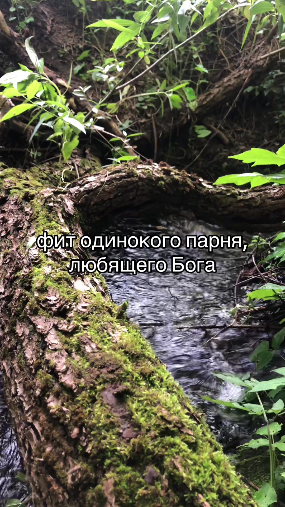 @тгк: serafim6s