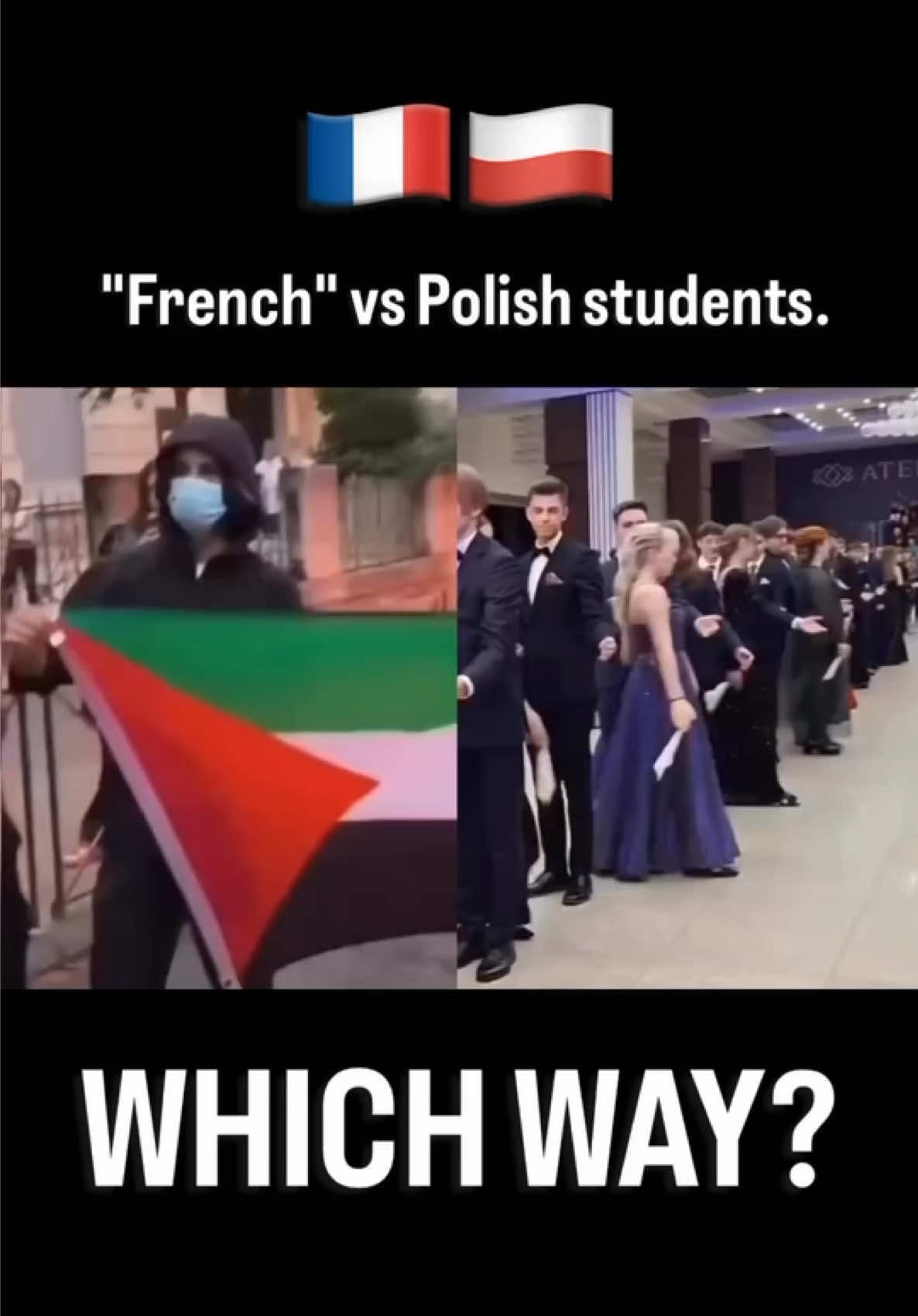 @Visegrad24
