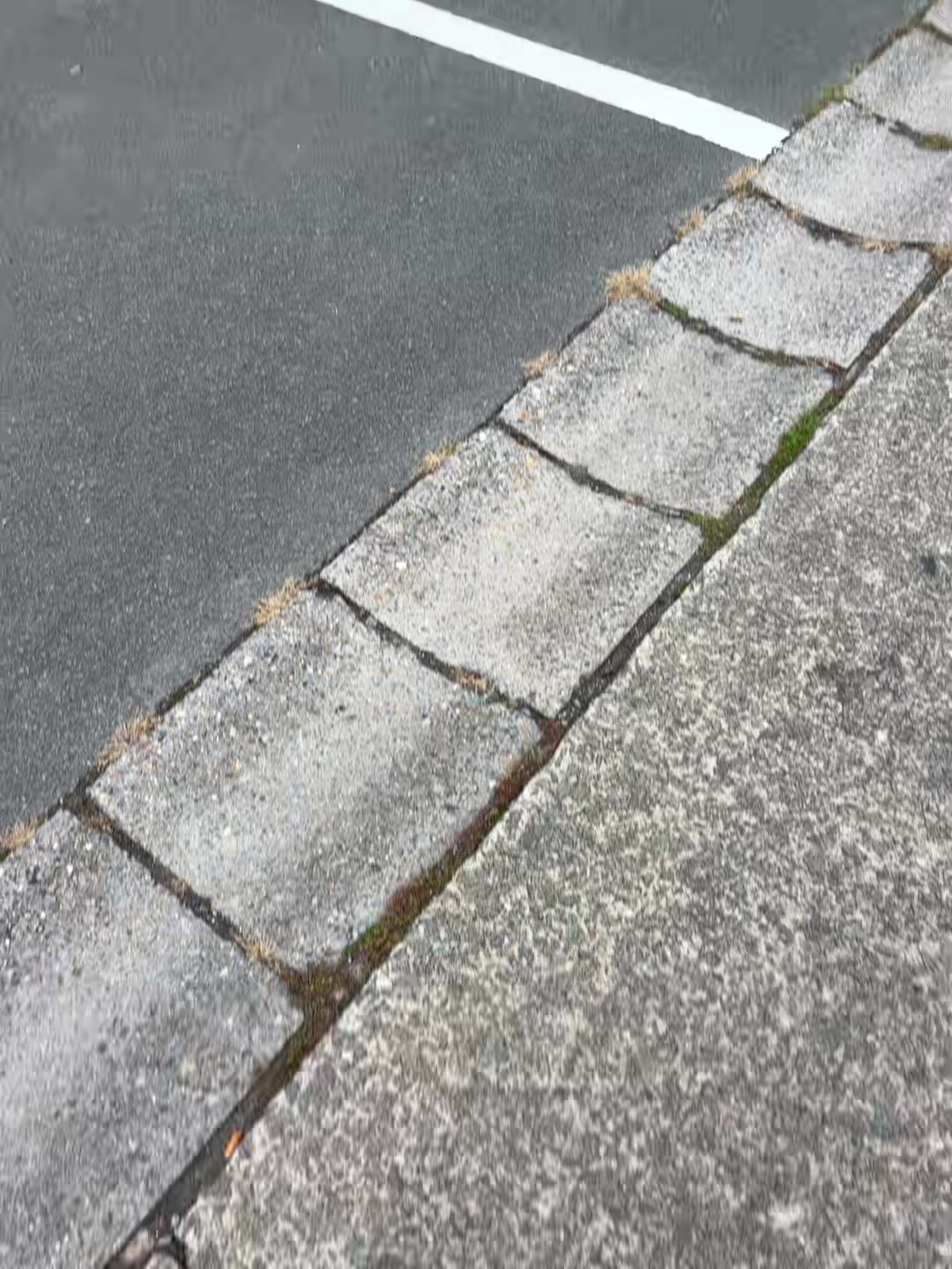 @𝓑𝓵𝓪𝓬𝓴.𝓮𝓳9