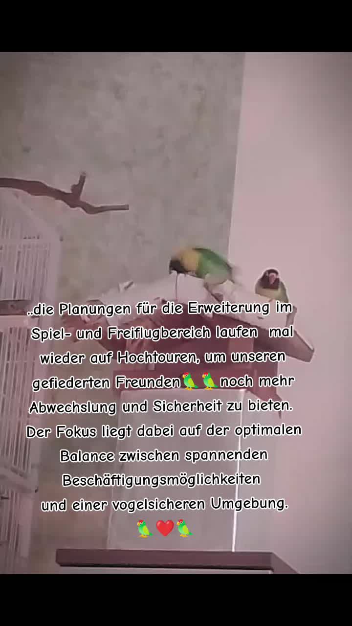 @🏳️🌈💙🤜💥𝕐𝕧𝕚💥🤛💙🏳️🌈