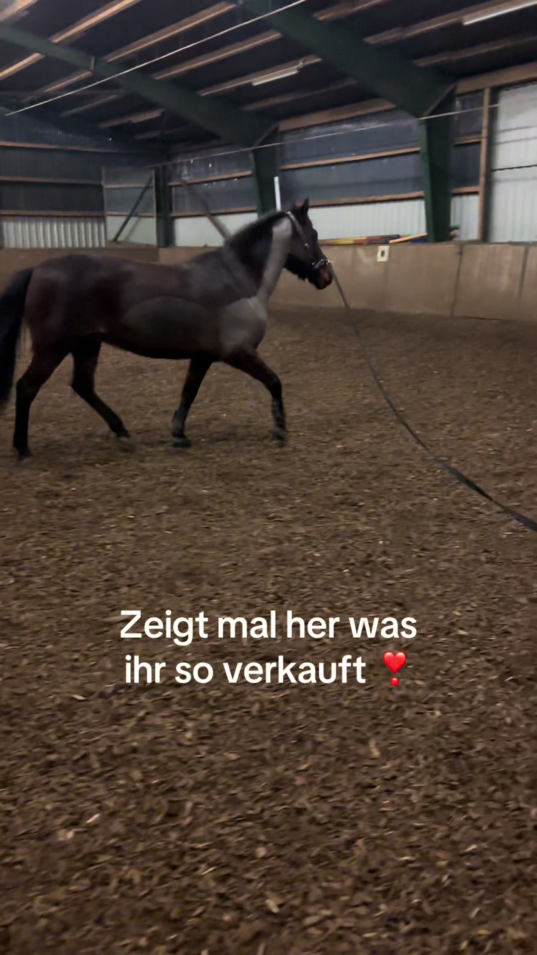 @Mooni & Vanessa 🐴