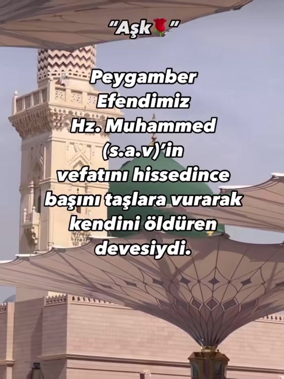 @İslam sayfası 🌸