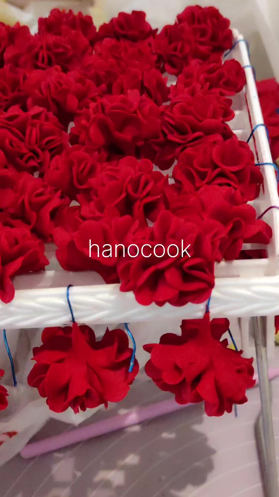 @hanocook