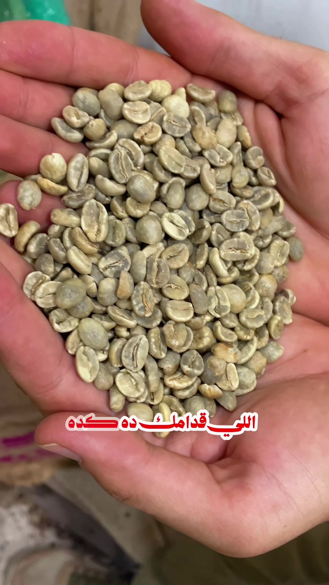 @بن الملوك | سومطرة