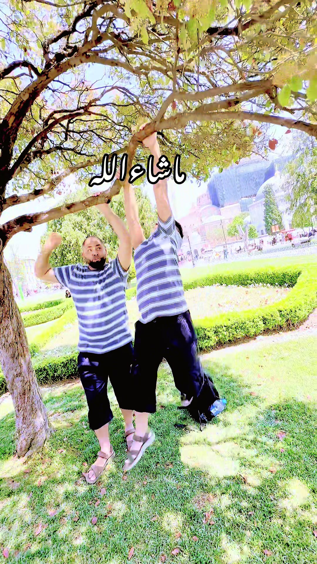@Noor