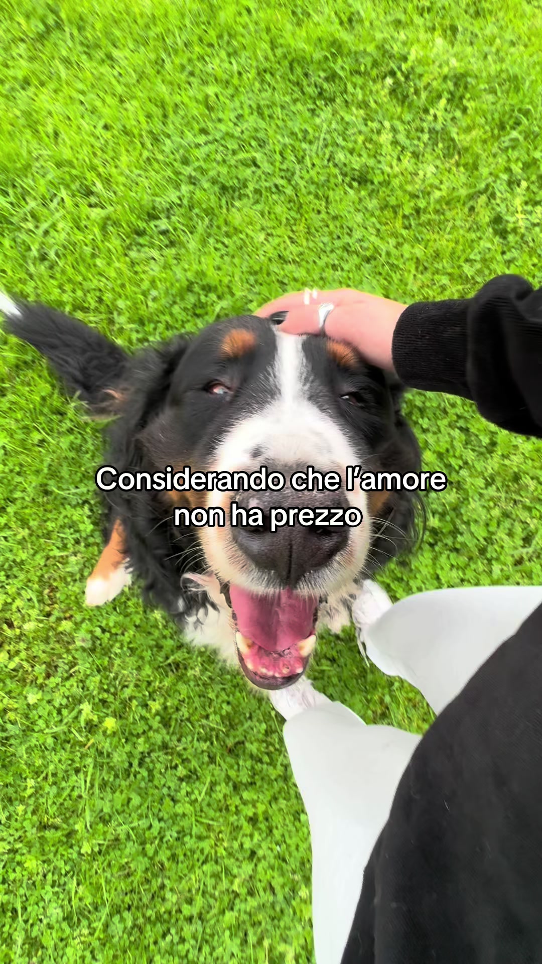 @Rita Cicalese