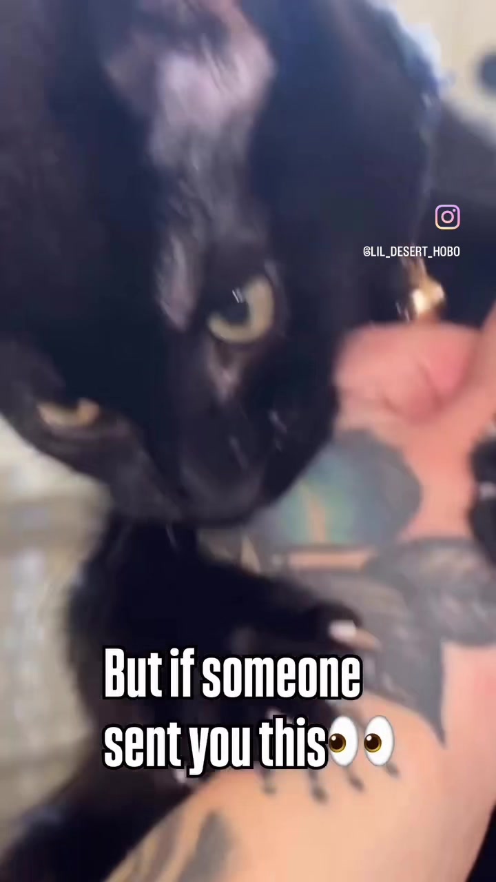 @Lil_desert_hobo
