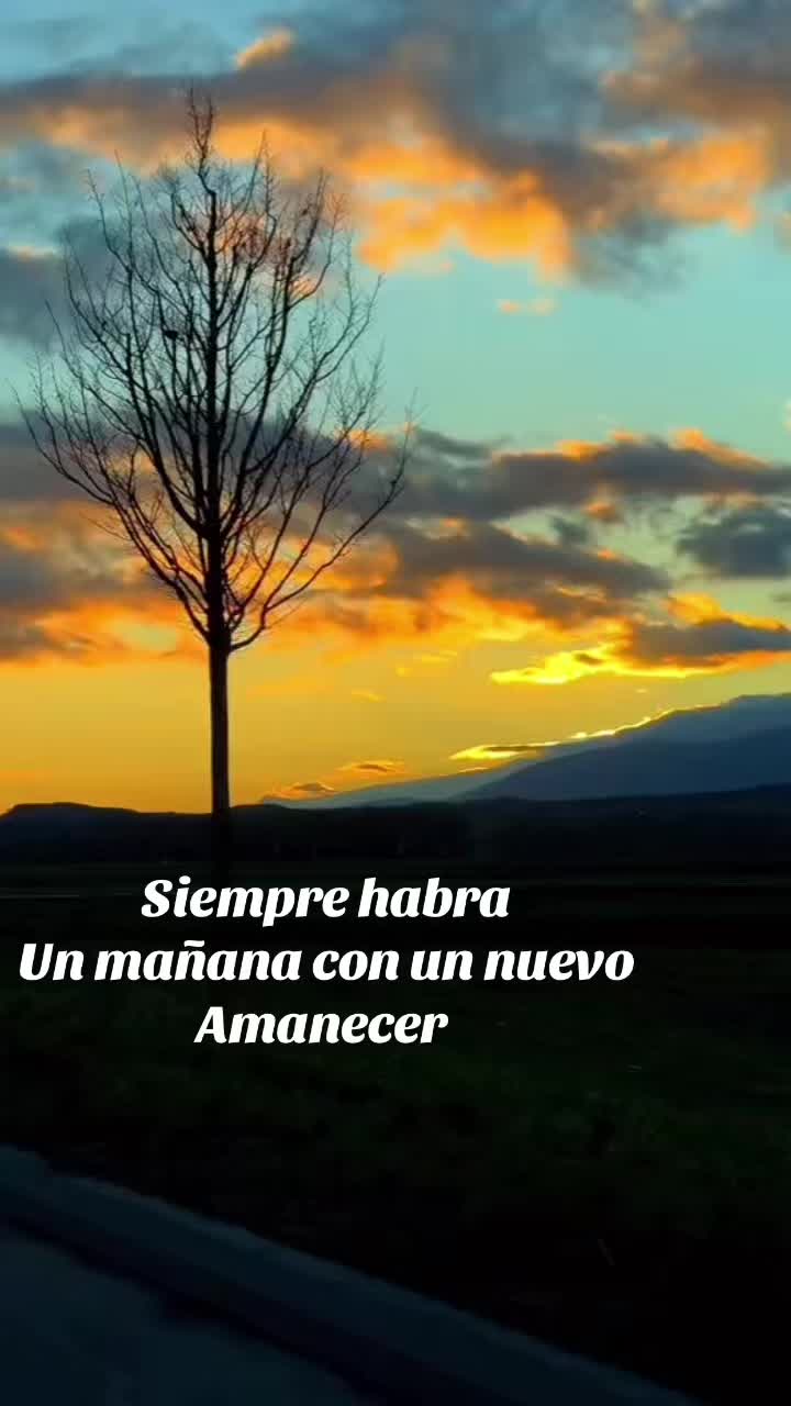 @Claudia Llanas566