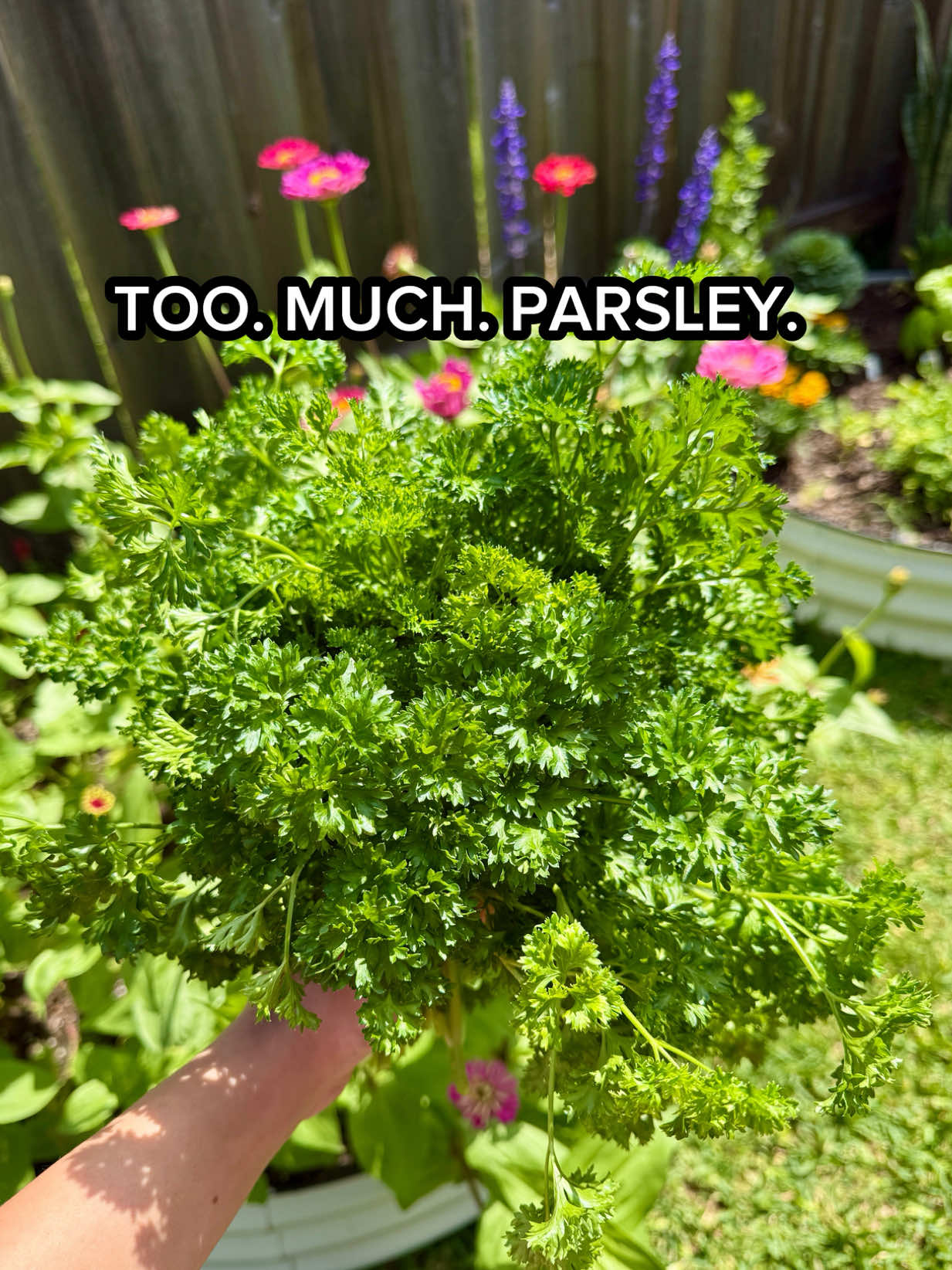 @Sara’s Bites 🌱