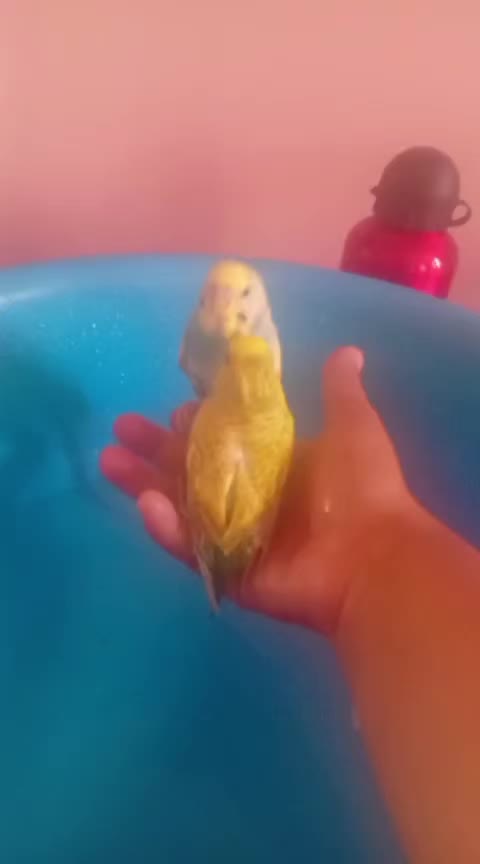 @♥Ez û Tu❤délale min