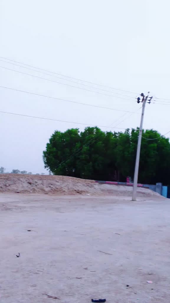 @03376150041