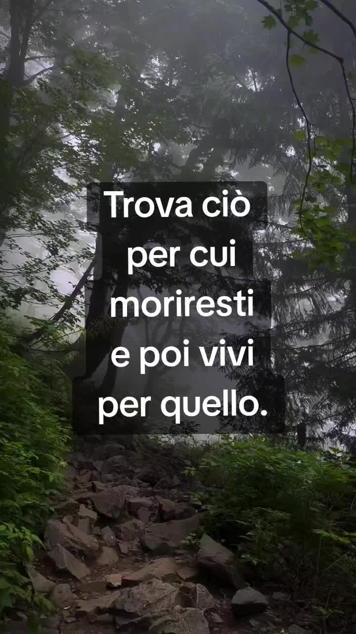 @💫FRASI&CITAZIONI💫