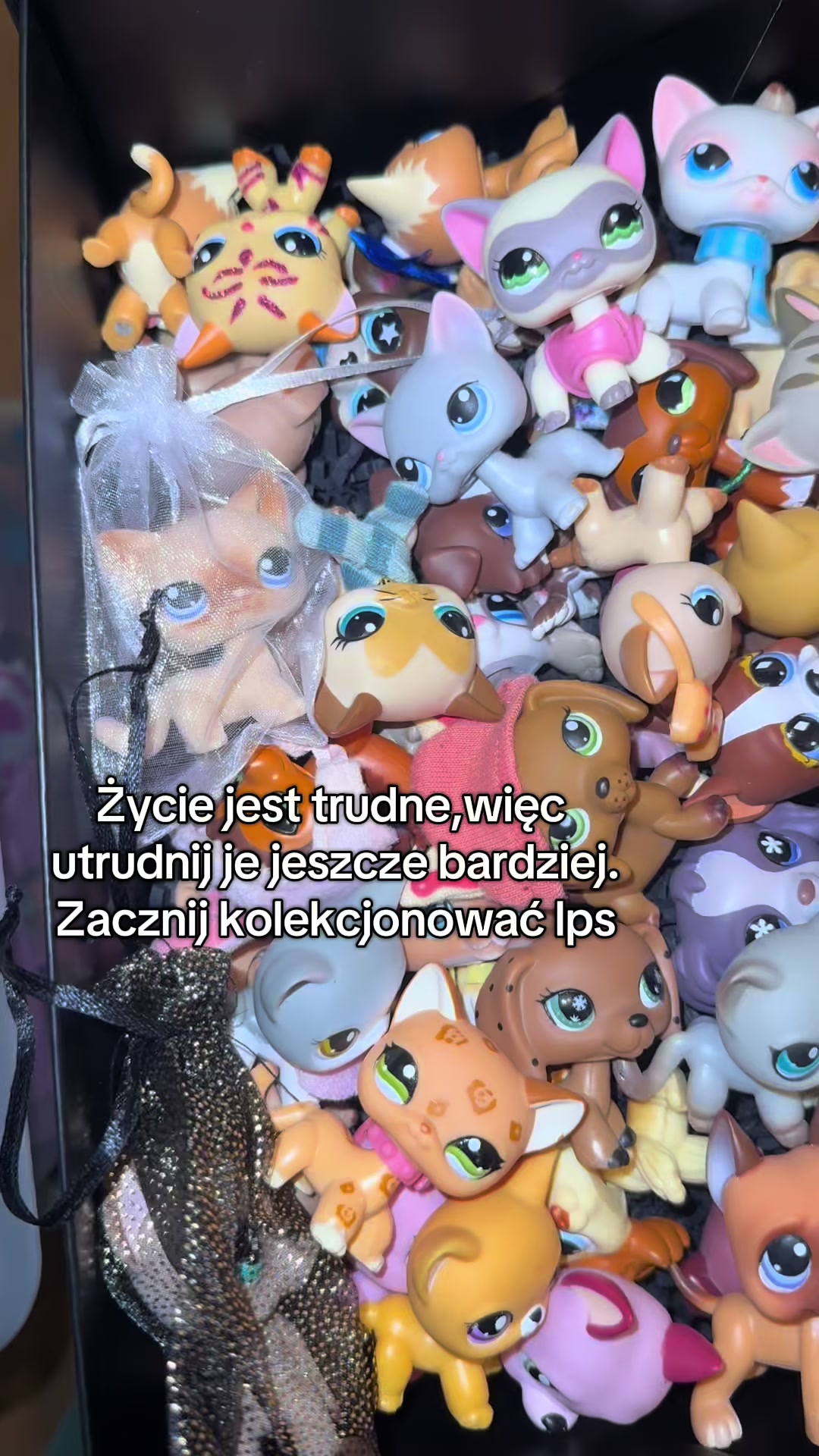 @TurboLps