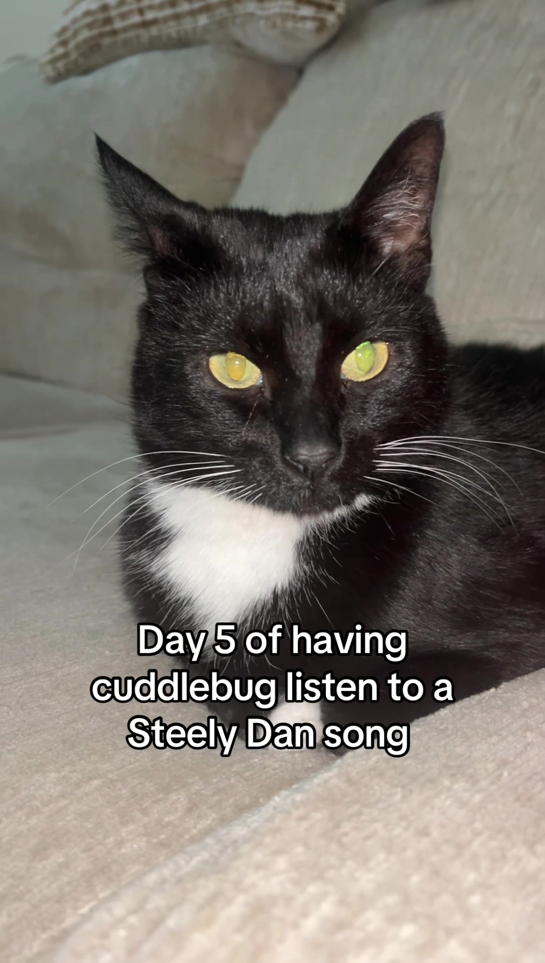 @CuddleBug