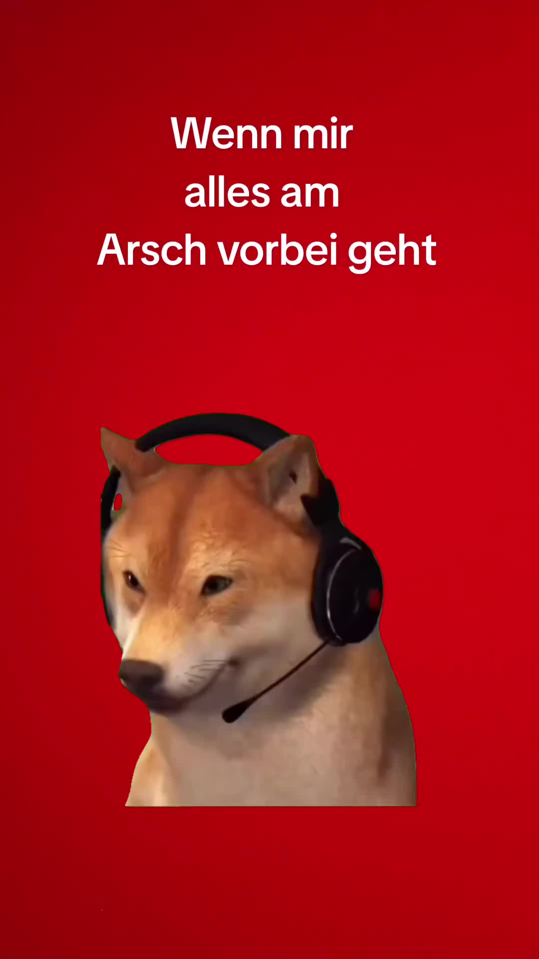 @&reg;️Team MaddiTv &reg;️