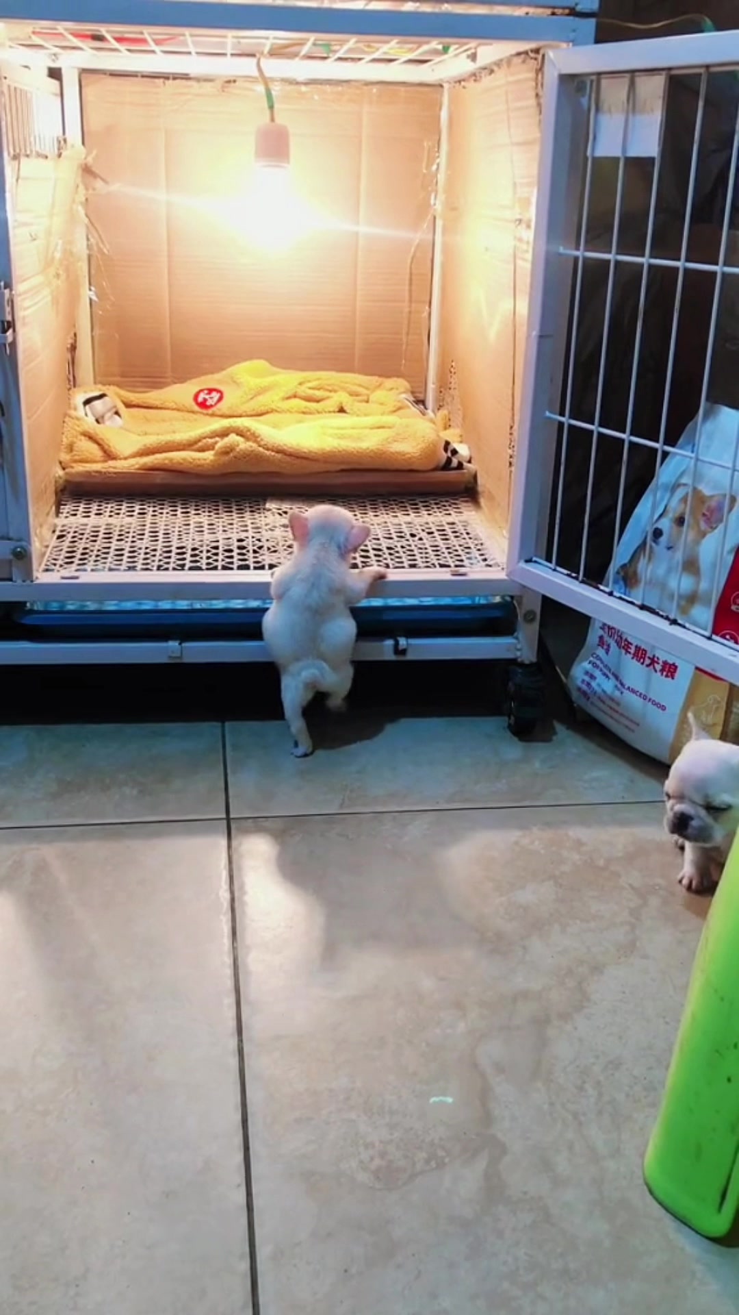 @𝐅𝐫𝐞𝐧𝐜𝐡𝐢𝐞𝐬.𝐛𝐚𝐛𝐲