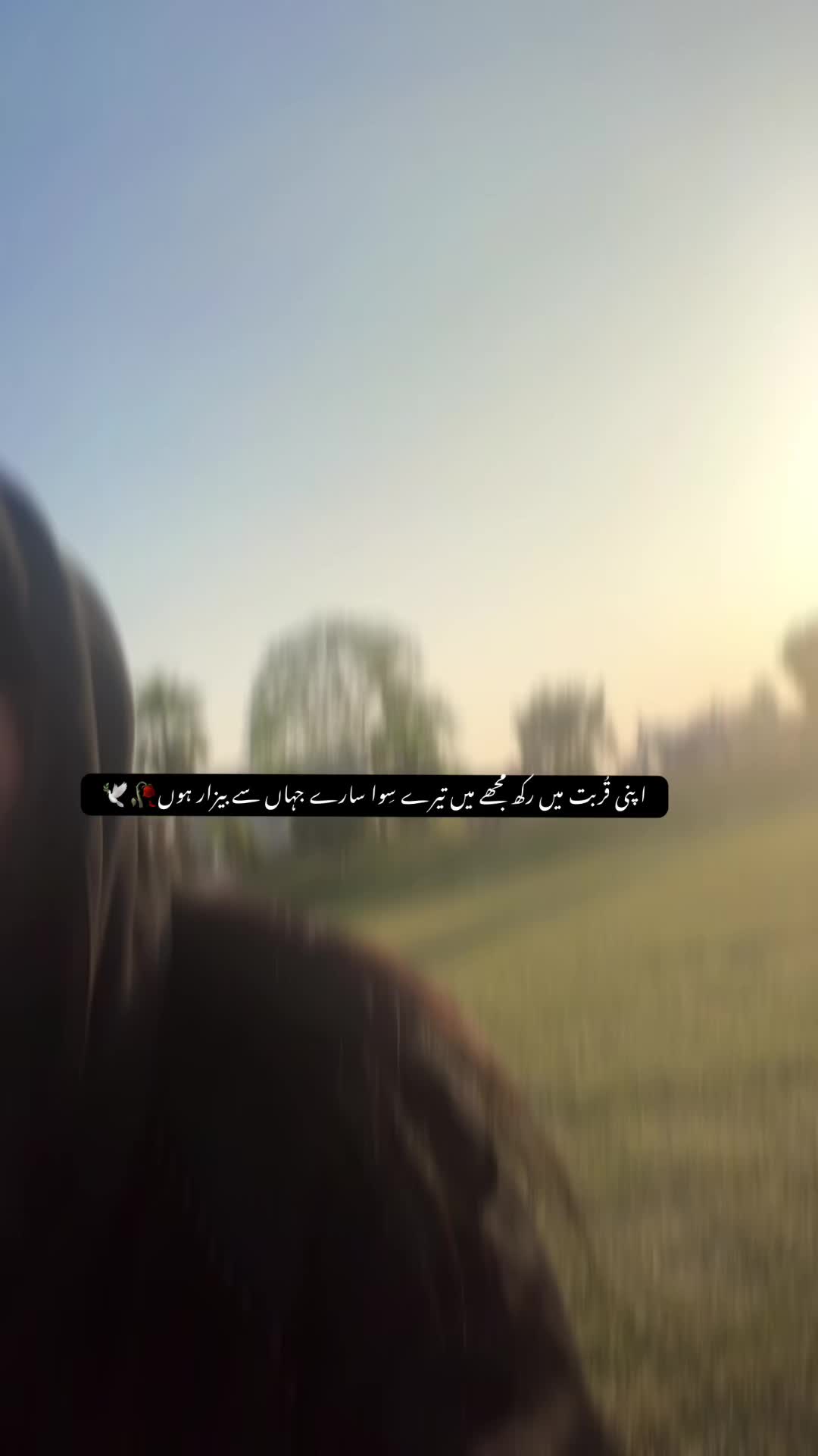 @𝒁𝒐𝒉𝒂 𝒔𝒉𝒂𝒛𝒂𝒅𝒊✨