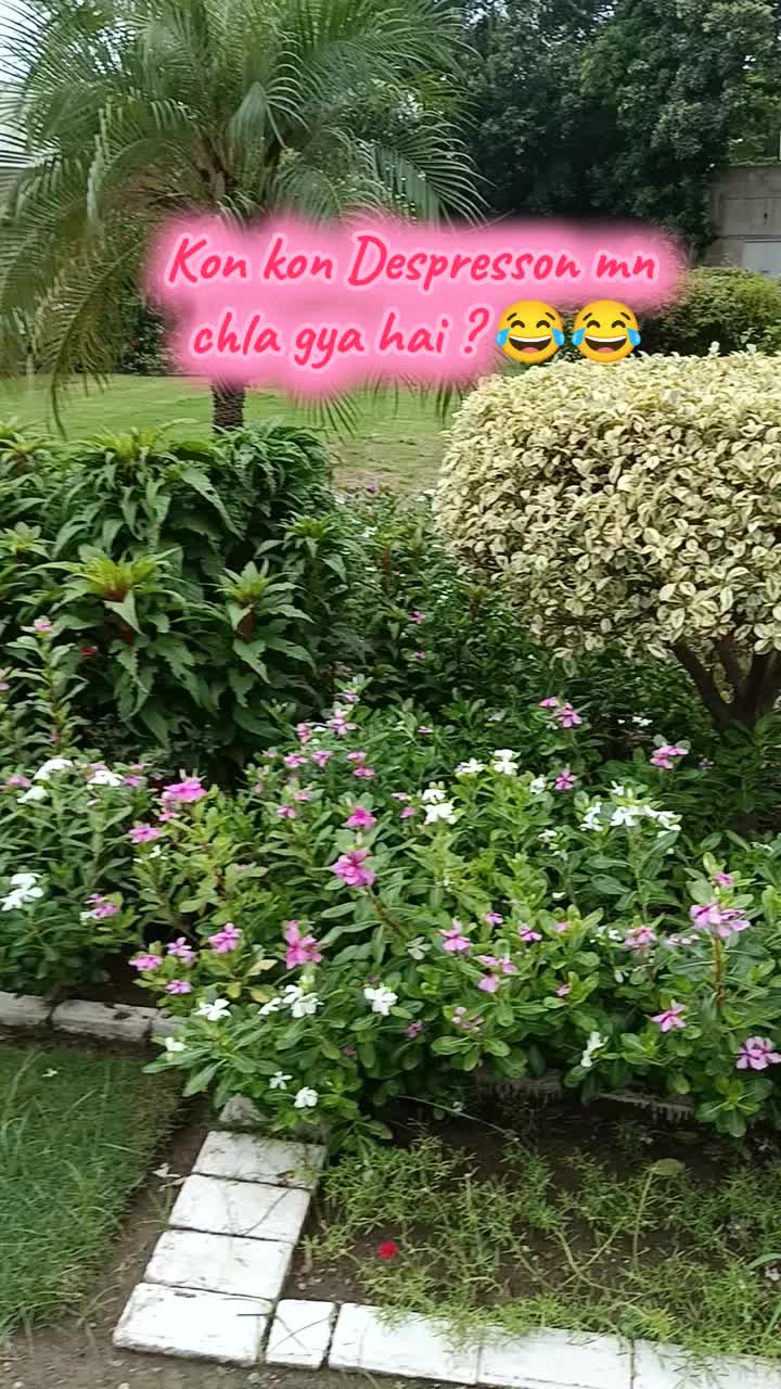 @𝑴𝒆𝒅𝑽𝒍𝒐𝒈 🌸🩺