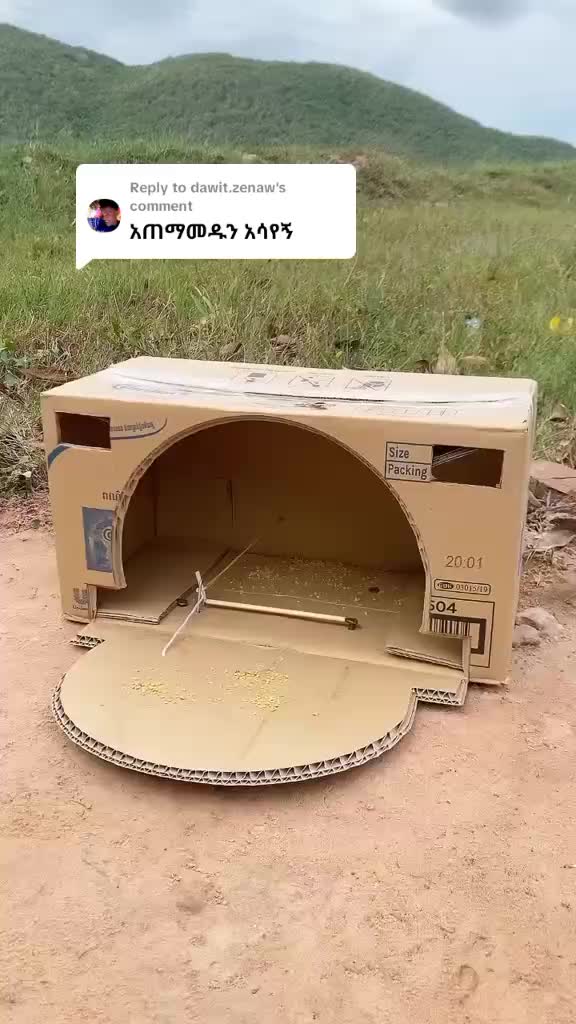 @የጫካው ቀበጥ