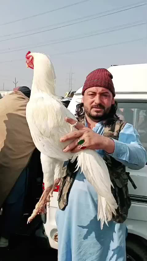 @Adnan Khan Aseel