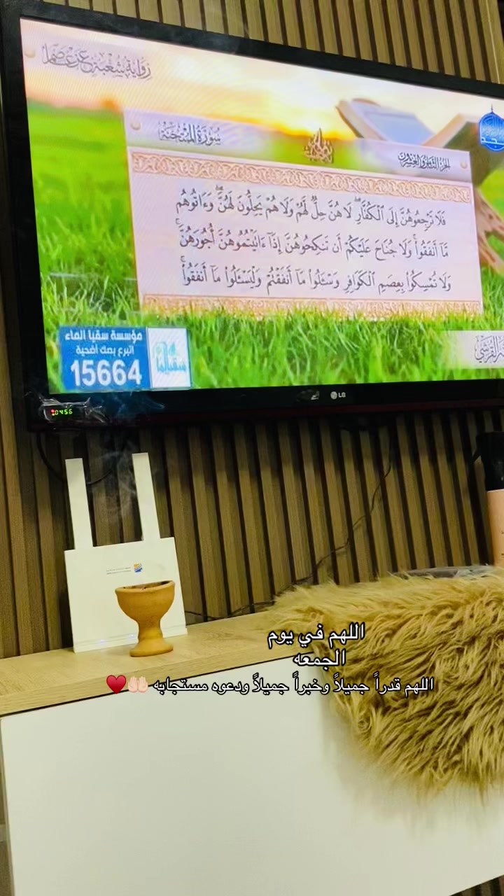 @areegmohammed97