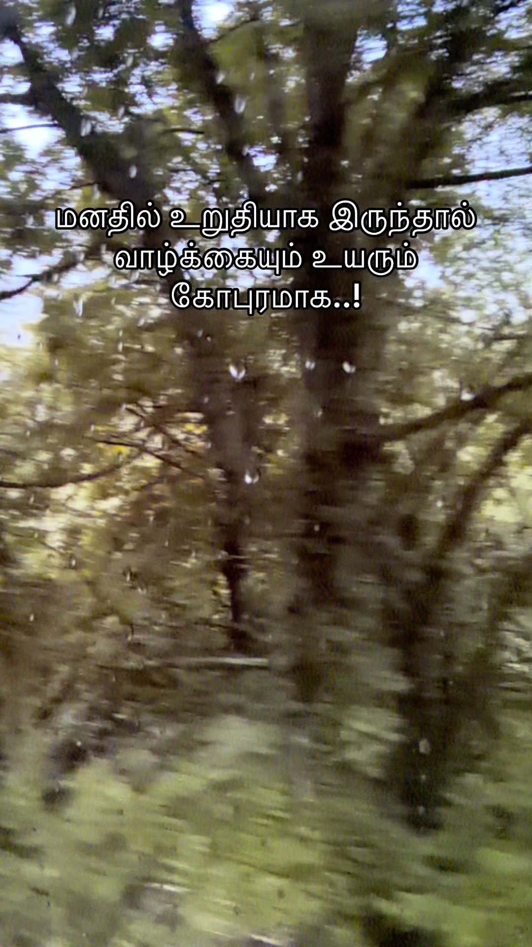 @kirus -6