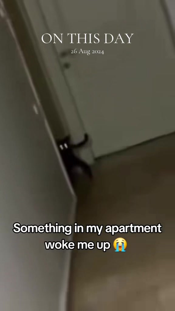@Underrated Moments