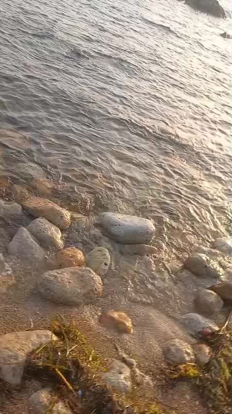@sicily89