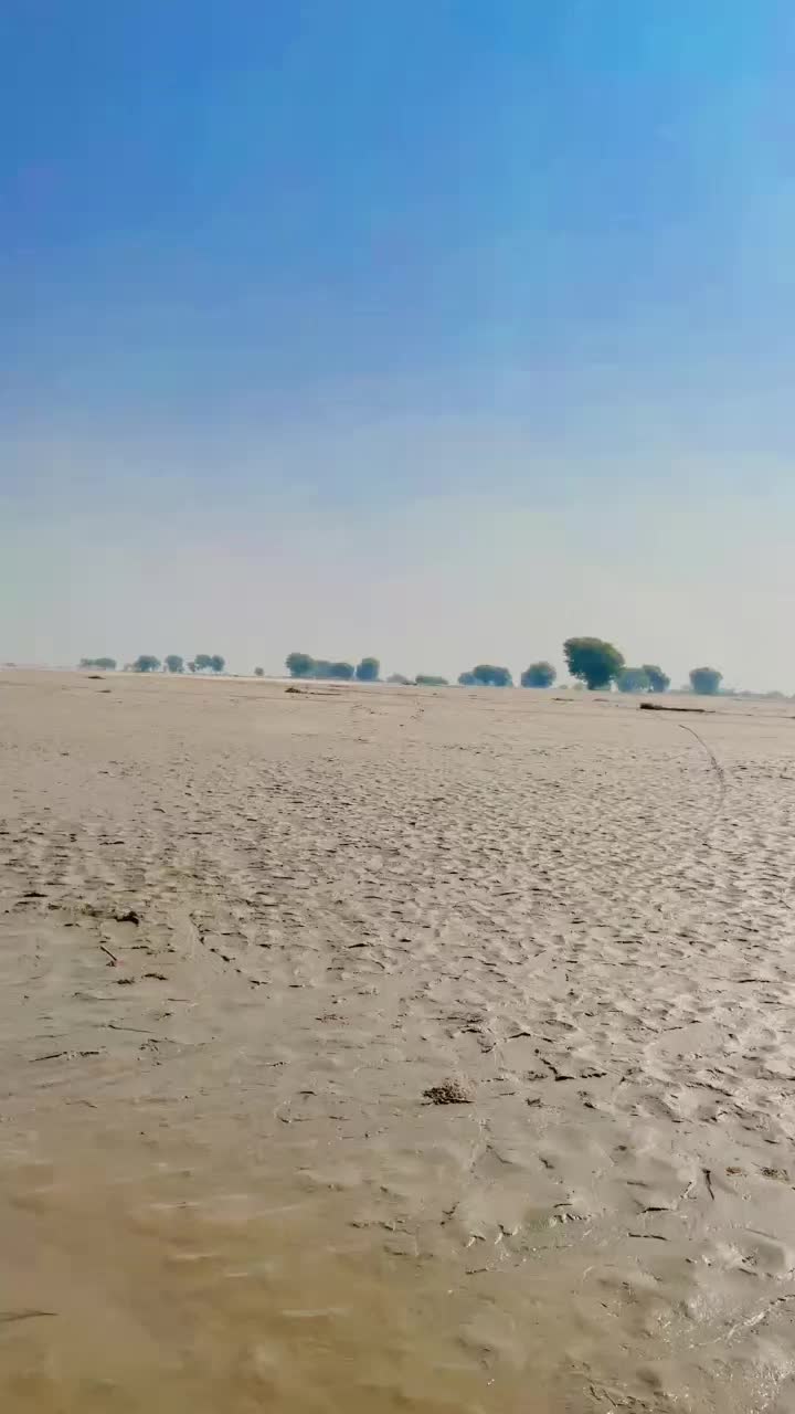 @Naif07