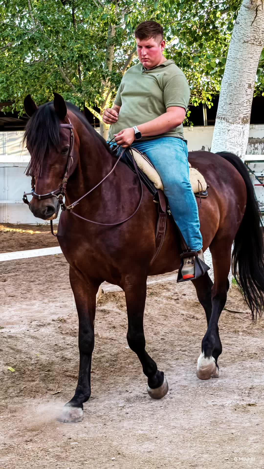 @eltorerillo0