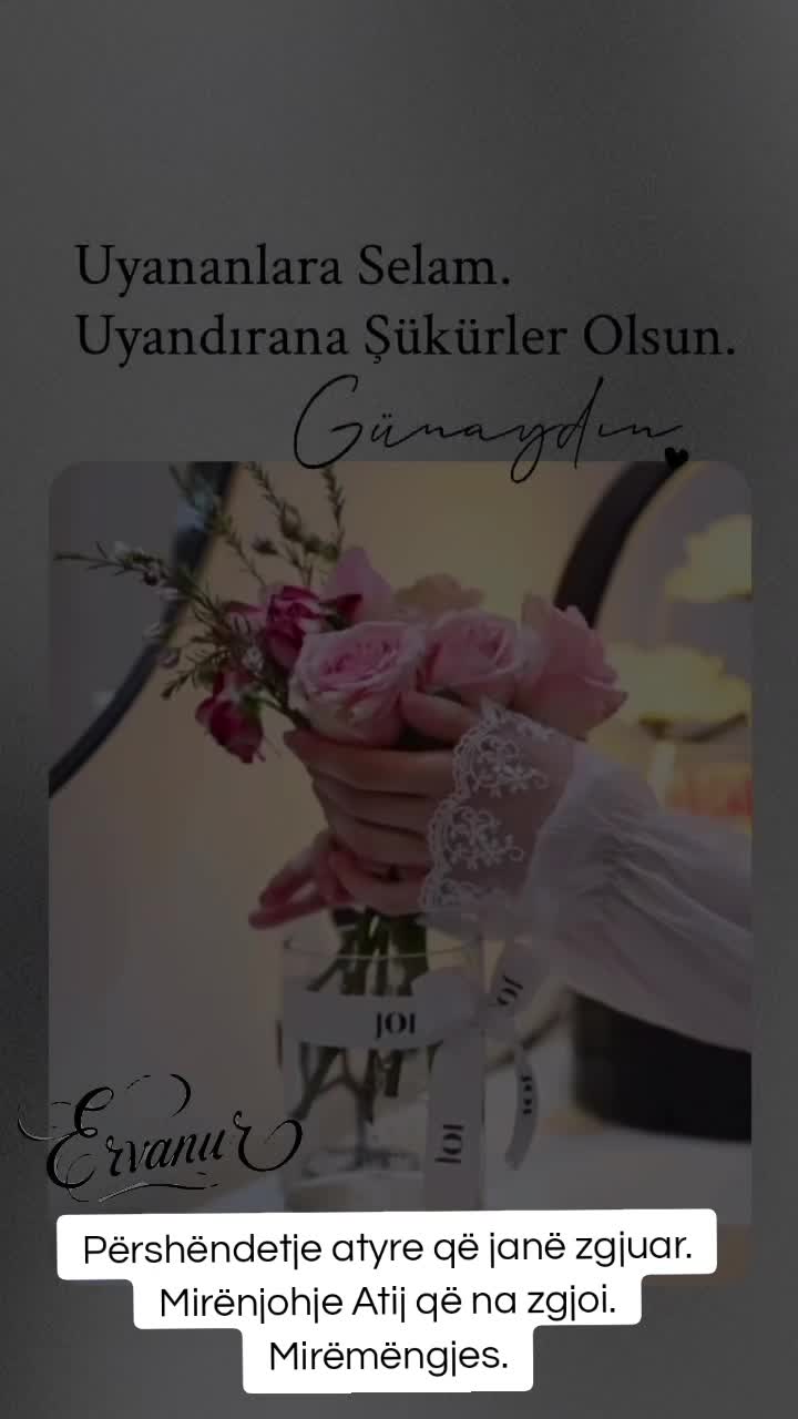 @✧ERVANUR✧