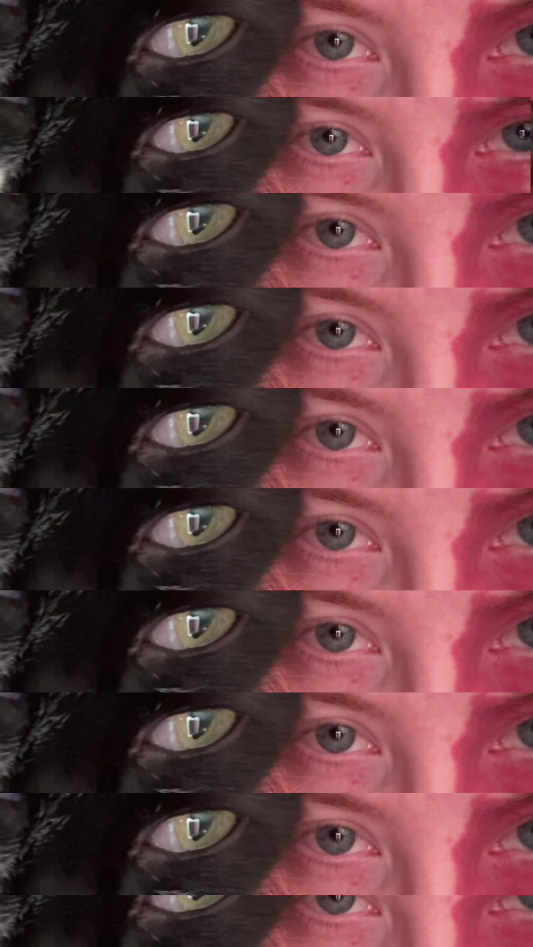 @𝓓𝓮𝓼𝓽𝓲𝓷𝔂