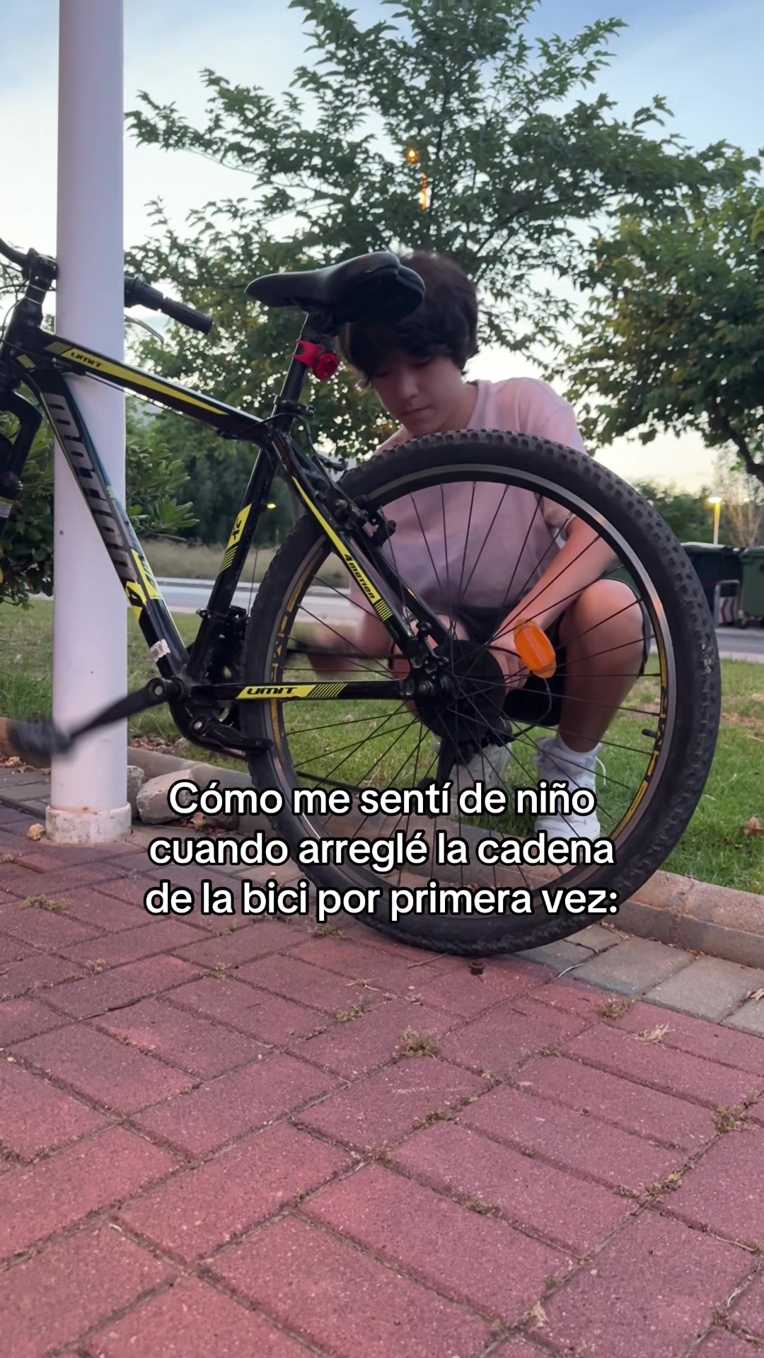 @arlan naiman