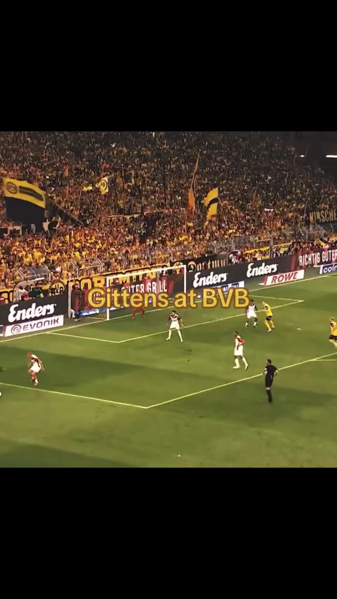 @XForza BVB🖤💛